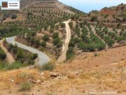 Makry-Gialos Kreta, Pefki - Makry Gialos Großes Grundstück mit Meerblick zu verkaufen! Grundstück kaufen